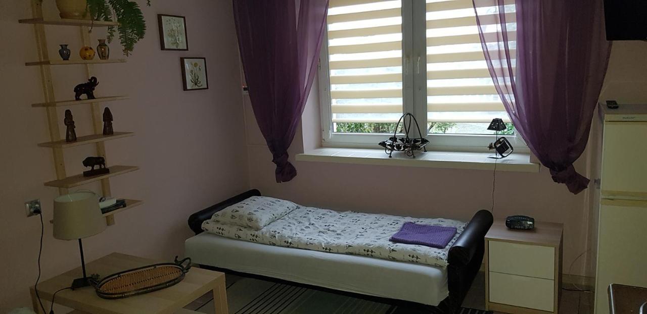 Pensjonat Europa Brzeziny Ngoại thất bức ảnh